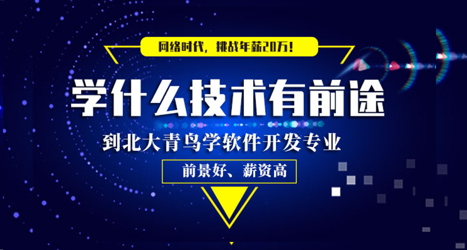 学什么技术好